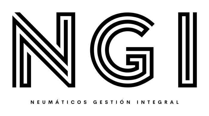 NGI · Neumáticos Gestión Integral